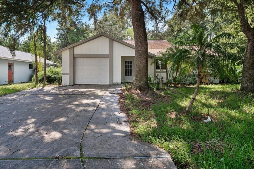 COME SEE THIS NICELY UPDATED, SUPER CUTE HOME ON BLARE CASTLE - Beach Home for sale in Palm Coast, Florida on Beachhouse.com