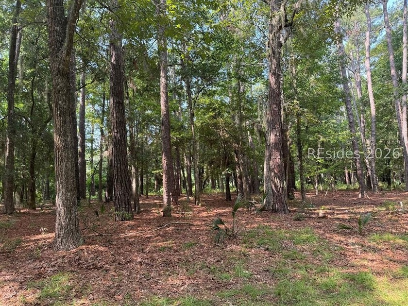 A slice of paradise awaits you here on Daufuskie Island with - Beach Lot for sale in Daufuskie Island, South Carolina on Beachhouse.com