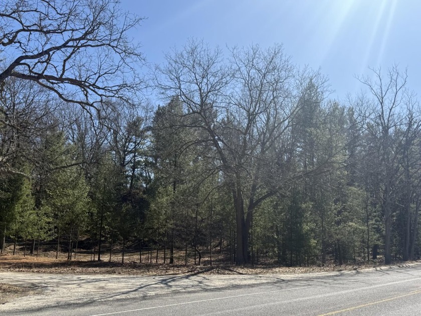 This serene, wooded parcel in Pentwater Township offers the - Beach Acreage for sale in Pentwater, Michigan on Beachhouse.com