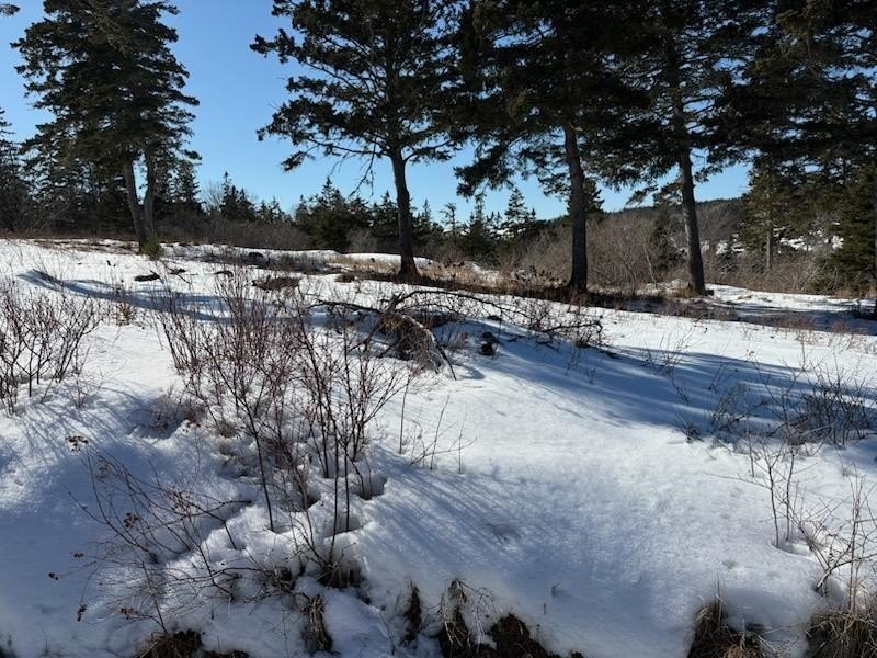 Your slice of Paradise is available to build your dream home in - Beach Acreage for sale in Kingsburg, NS on Beachhouse.com