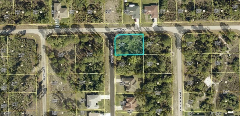 Nice corner lot on a freshly paved road. Excellent opportunity - Beach Lot for sale in Lehigh Acres, Florida on Beachhouse.com