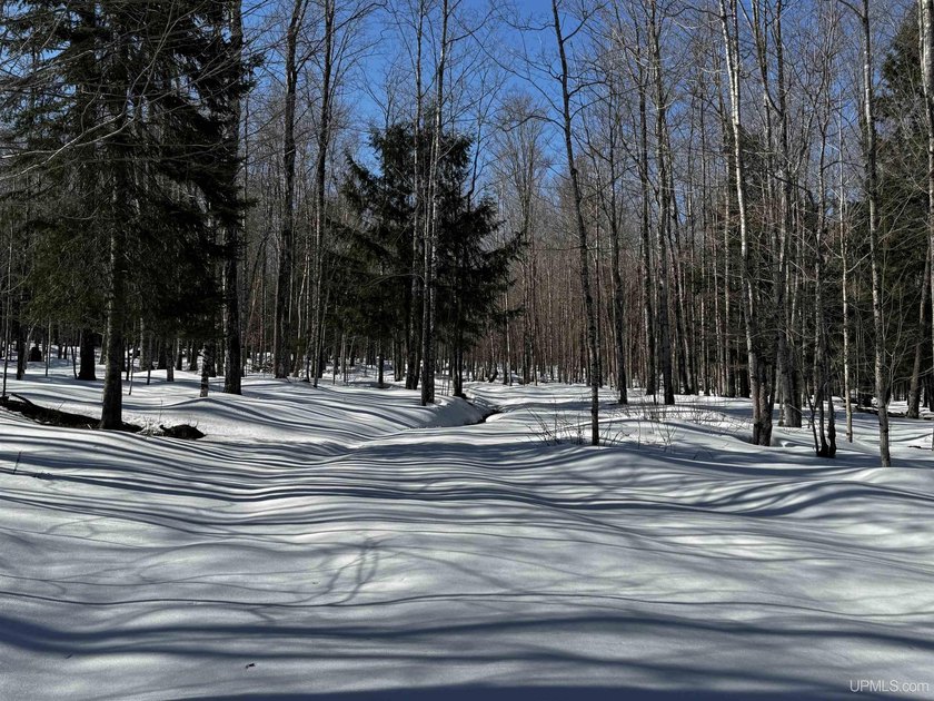 Very nice 40 acre parcel located in one of the Upper Peninsula's - Beach Acreage for sale in Skanee, Michigan on Beachhouse.com