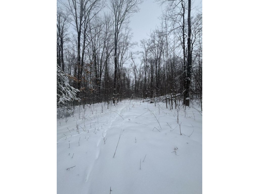 Excellent opportunity to own a 10 acre parcel north of Hessel - Beach Acreage for sale in Hessel, Michigan on Beachhouse.com