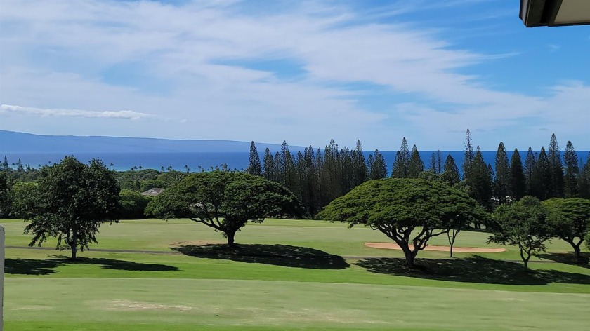 Incredible views from this updated *View* level unit at Kapalua - Beach Condo for sale in Lahaina, Hawaii on Beachhouse.com