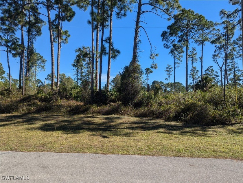 Nice residential building lot with eastern rear exposure, high & - Beach Lot for sale in Lehigh Acres, Florida on Beachhouse.com