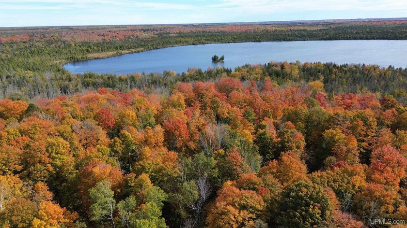 This 10 acre parcel features simple straight forward access off - Beach Acreage for sale in Gulliver, Michigan on Beachhouse.com