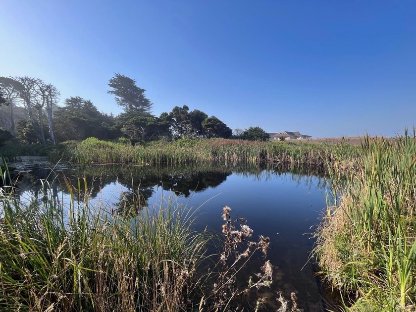 A rare opportunity to own this stunning 13.7+/- acre property - Beach Acreage for sale in Fort Bragg, California on Beachhouse.com
