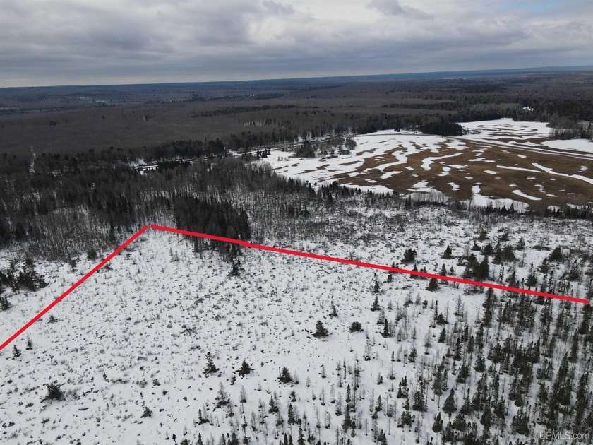 Own a slice a of Northwoods wilderness with this secluded 40 - Beach Acreage for sale in Baraga, Michigan on Beachhouse.com