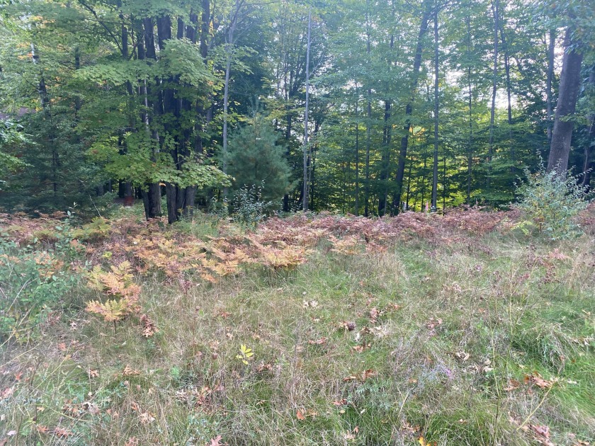 This beautiful lot is located on a cul-de-sac in Riverview - Beach Lot for sale in Ludington, Michigan on Beachhouse.com