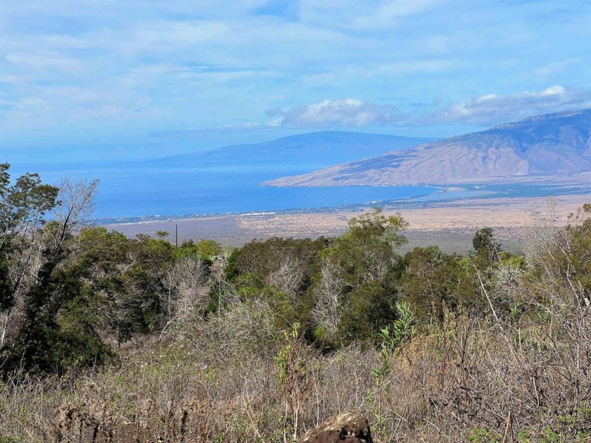 This exceptional 3.5-acre lot in Kula offers breathtaking - Beach Acreage for sale in Kula, Hawaii on Beachhouse.com