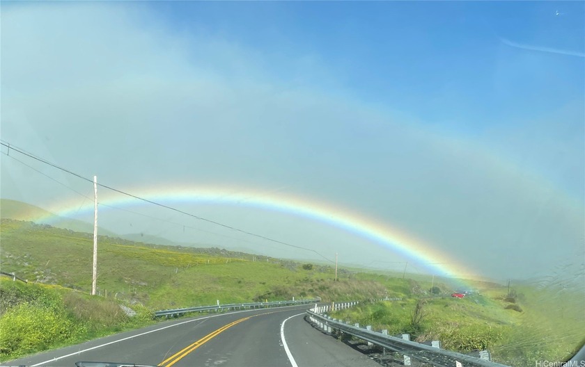 Excellent opportunity to build your dream home and farm in one - Beach Lot for sale in Pepeekeo, Hawaii on Beachhouse.com