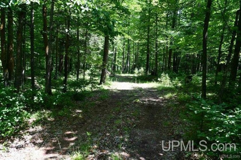 Ready-to-build road-front parcel featuring beautiful rolling - Beach Acreage for sale in Hardwood, Michigan on Beachhouse.com