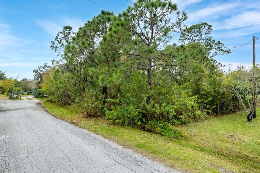 Build your custom home here on this wooded .72 acre lot that - Beach Lot for sale in Grant, Florida on Beachhouse.com