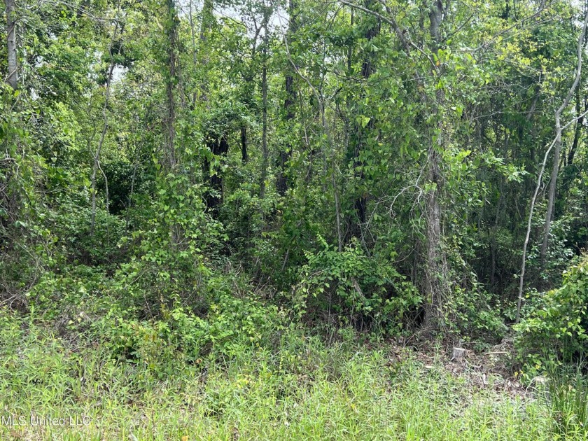 Over 2 acres of property in beachfront town of Pass Christian - Beach Acreage for sale in Pass Christian, Mississippi on Beachhouse.com