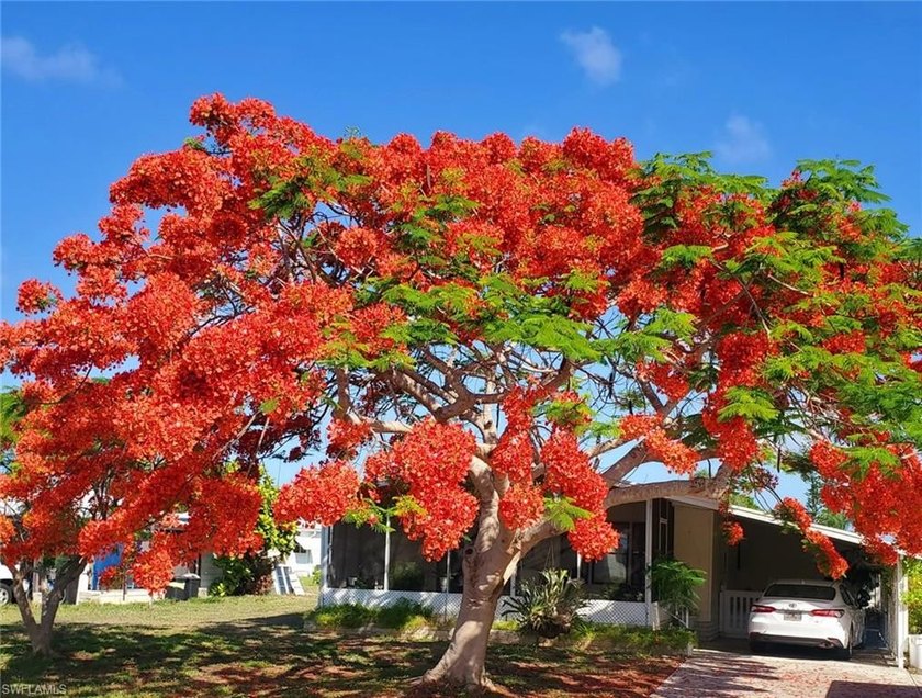 Welcome to Your Ideal 55+ Community Home in beautiful Bonita - Beach Home for sale in Bonita Springs, Florida on Beachhouse.com