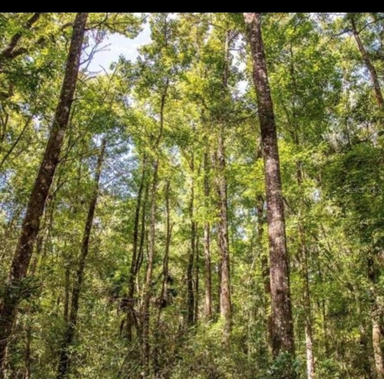 This beautiful 2.47 acres property is ready for your new site - Beach Acreage for sale in Old Town, Florida on Beachhouse.com