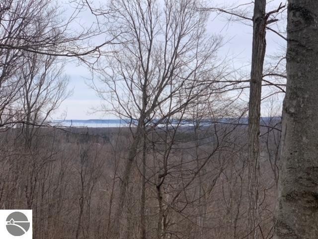 If you're looking for the perfect wooded Leelanau County acreage - Beach Acreage for sale in Maple City, Michigan on Beachhouse.com