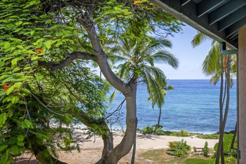 *September Special* Alli Drive with Ocean View, sleeps 4, walk - Beach Vacation Rentals in Kailua Kona, Hawaii on Beachhouse.com