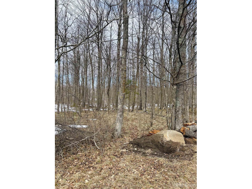 Build Your Dream Getaway! Ready-to-build corner parcel on - Beach Acreage for sale in Hardwood, Michigan on Beachhouse.com