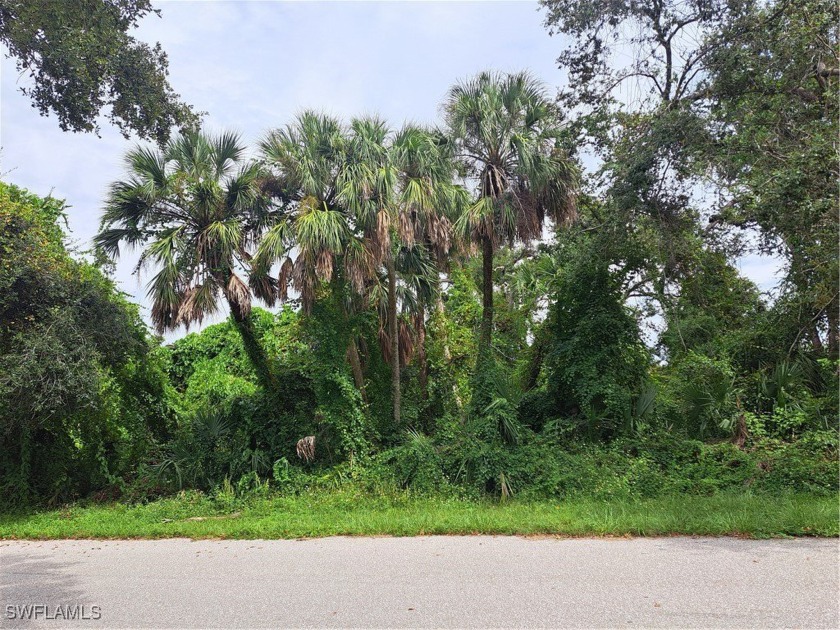 Two adjacent lots totaling almost 1/2 acre in a growing area of - Beach Commercial for sale in Port Charlotte, Florida on Beachhouse.com