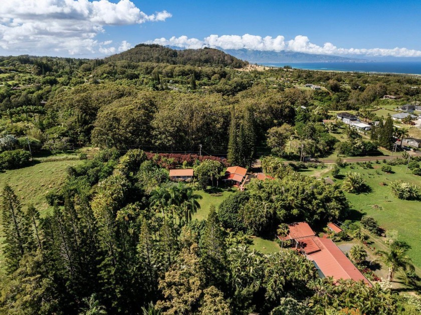 A Timeless Retreat in the Heart of Haiku! Step into the essence - Beach Home for sale in Haiku, Hawaii on Beachhouse.com