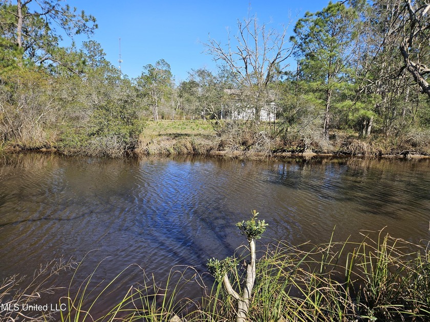 Fish from your 3 contiguous lots with 150 feet of road and water - Beach Lot for sale in Bay Saint Louis, Mississippi on Beachhouse.com