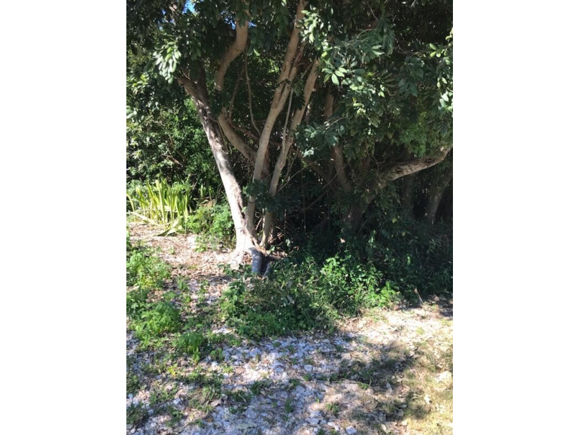 Vacant lot available for sale. No plans or permits. great for - Beach Lot for sale in Plantation Key, Florida on Beachhouse.com