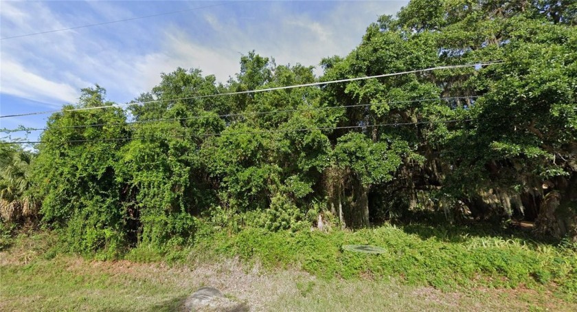 Vacant Land for Sale!!! This 80 x 150 feet lot is ready for you - Beach Lot for sale in Port Charlotte, Florida on Beachhouse.com