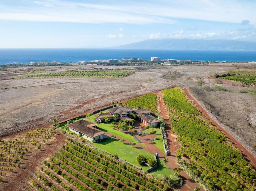 Skip the three years of permitting and building--it's all here - Beach Home for sale in Lahaina, Hawaii on Beachhouse.com