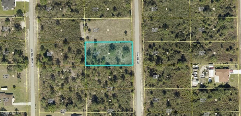 This oversized 0.5 Acres lot is located in a quiet neighborhood - Beach Lot for sale in Lehigh Acres, Florida on Beachhouse.com