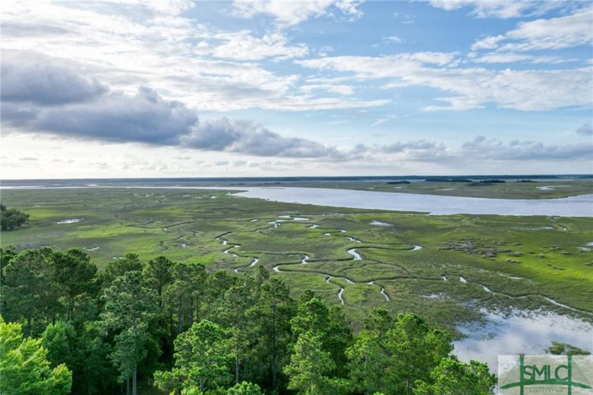 Gorgeous .76-acre lot w/ 112 ft  of pristine marsh front offers - Beach Lot for sale in Townsend, Georgia on Beachhouse.com