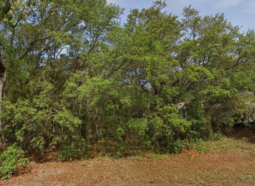 Under contract-accepting backup offers. Prime Homosassa - Beach Lot for sale in Homosassa, Florida on Beachhouse.com