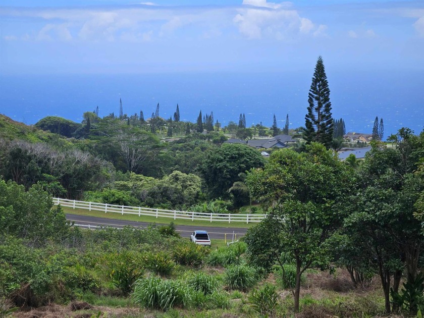 Absolutely stunning custom home build site situated on over 5.6 - Beach Acreage for sale in Wailuku, Hawaii on Beachhouse.com