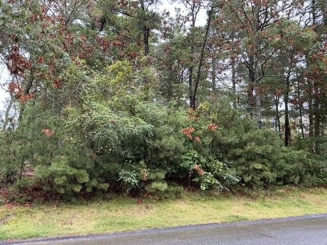 Build your dream home on this lovely wooded level land! On quiet - Beach Lot for sale in Cotuit, Massachusetts on Beachhouse.com