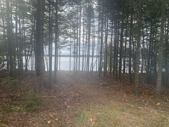 A 1 Acre Lot on Ray's Point Rd. Wooded with a couple of cleared - Beach Lot for sale in Milbridge, Maine on Beachhouse.com