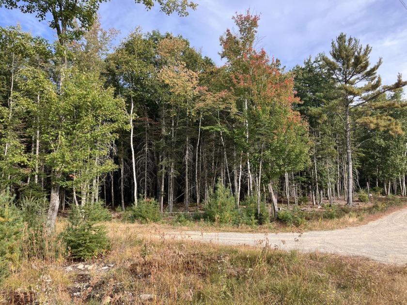 Here's your chance to own a desirable lot at the end of a - Beach Acreage for sale in Bar Harbor, Maine on Beachhouse.com