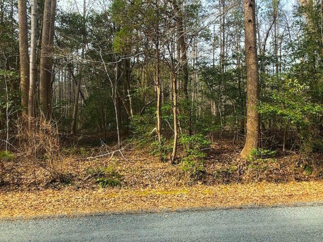 PRICED BELOW ASSESSMENT! Private lot with water access and - Beach Lot for sale in Heathsville, Virginia on Beachhouse.com