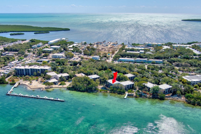 Multi-Million Dollar Views of the Crystal-Clear Waters of the - Beach Condo for sale in Key Largo, Florida on Beachhouse.com