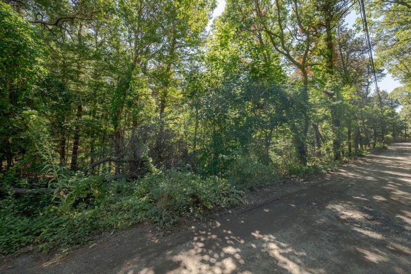 Rare find - private building lot with gentle slope for walk-out - Beach Lot for sale in Wellfleet, Massachusetts on Beachhouse.com