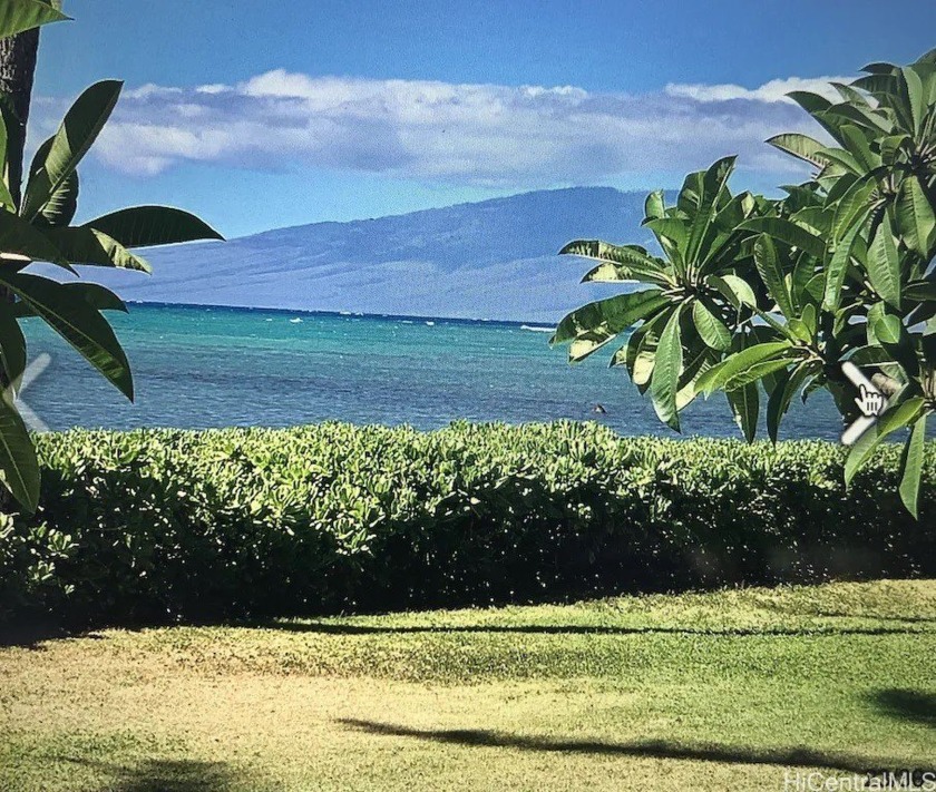 Outstanding newly remodeled upscale oceanfront unit @ Wavecrest - Beach Condo for sale in Kaunakakai, Hawaii on Beachhouse.com