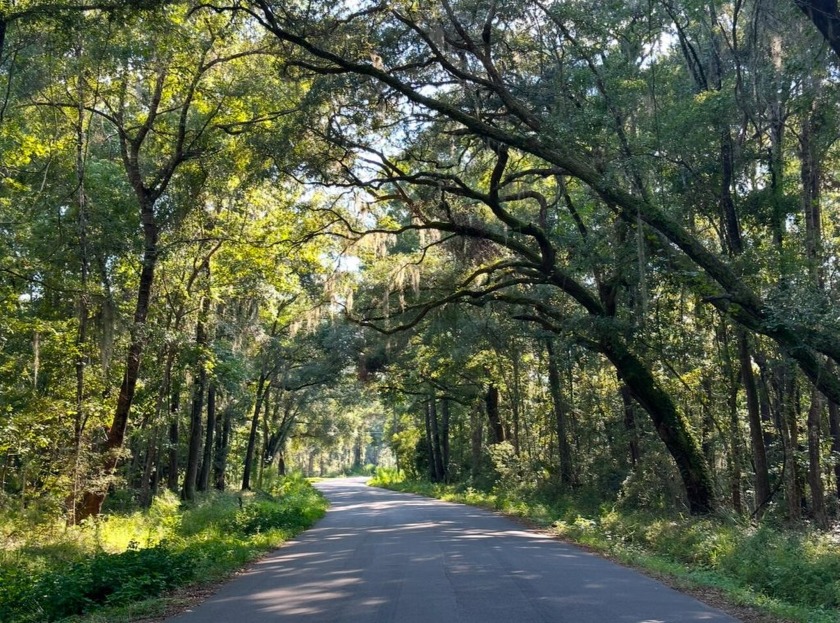 3.31 acres only 3 miles from Edisto Beach! Heavily wooded. This - Beach Acreage for sale in Edisto Island, South Carolina on Beachhouse.com