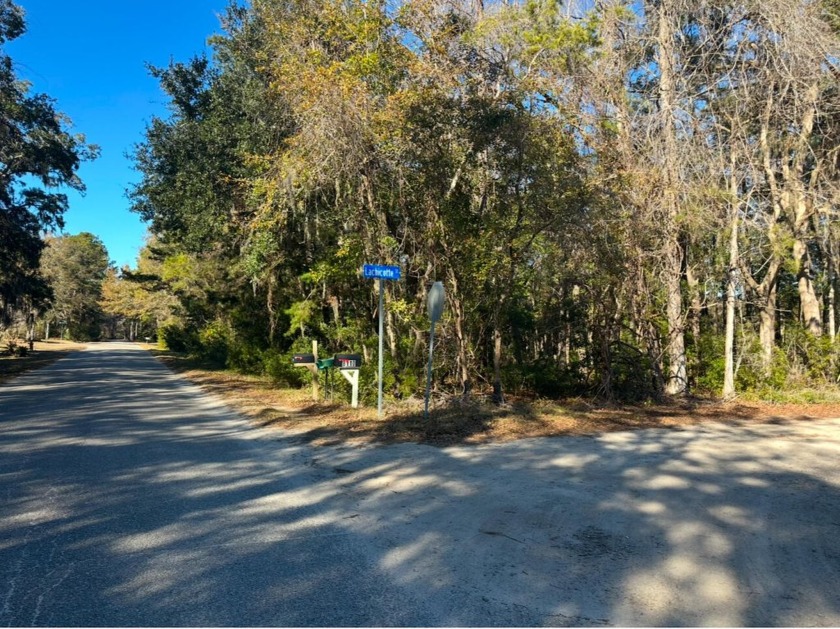 3.5 acres of a hidden gem nestled in the woods of Edisto Island - Beach Acreage for sale in Edisto Island, South Carolina on Beachhouse.com