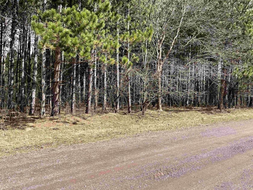 Nicely wooded property in Michigan's beautiful Upper Peninsula - Beach Acreage for sale in Ontonagon, Michigan on Beachhouse.com