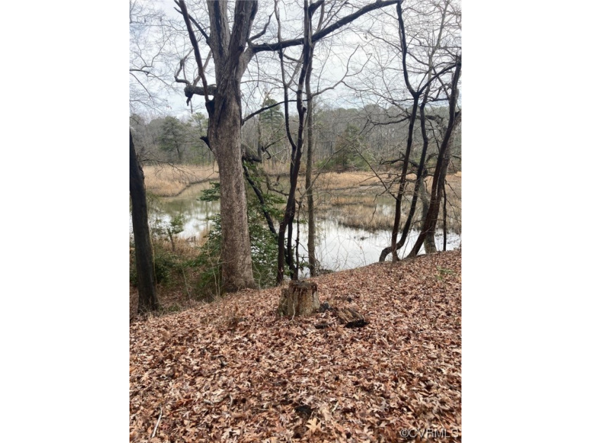 STUNNING APPROXIMATELY 1.50 ACRE PARCEL ON LOVELY  CREEK - Beach Lot for sale in West Point, Virginia on Beachhouse.com