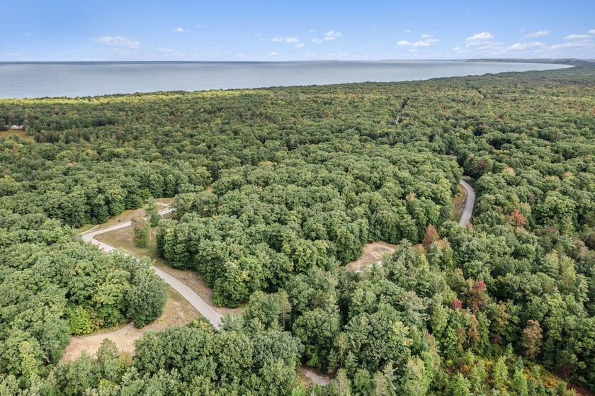 Wooded building site located between Silver Lake and Pentwater - Beach Lot for sale in Mears, Michigan on Beachhouse.com