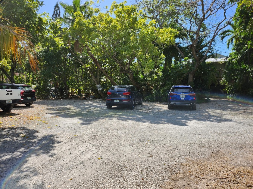 Developers Dream! 19,000 sq. ft. of land to create your oasis - Beach Commercial for sale in Key West, Florida on Beachhouse.com