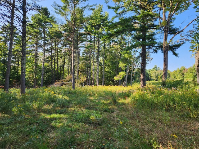 This remarkable property has breathtaking views, lots of room - Beach Acreage for sale in Lincolnville, Maine on Beachhouse.com