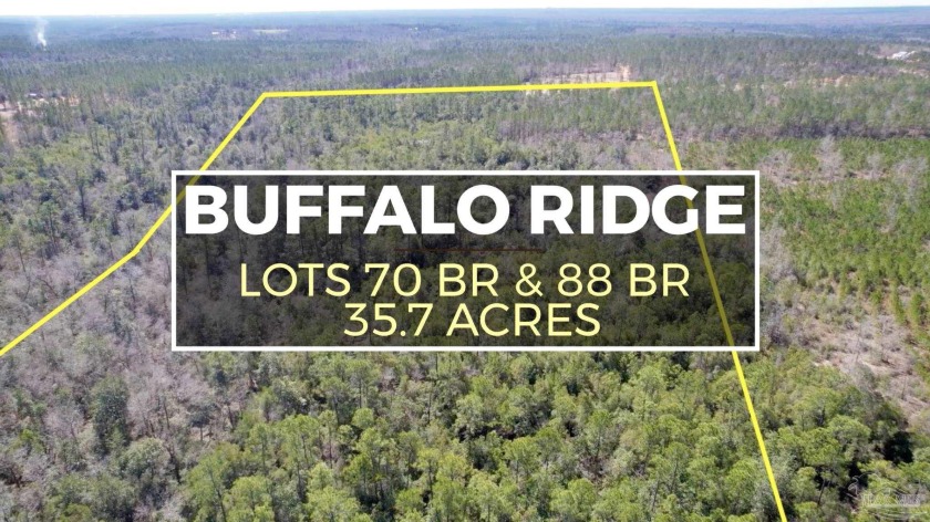COMBO DEAL - 2 SEPARATE PARCELS IN BUFFALO RIDGE - 35.7 AC!!! - Beach Acreage for sale in Pace, Florida on Beachhouse.com