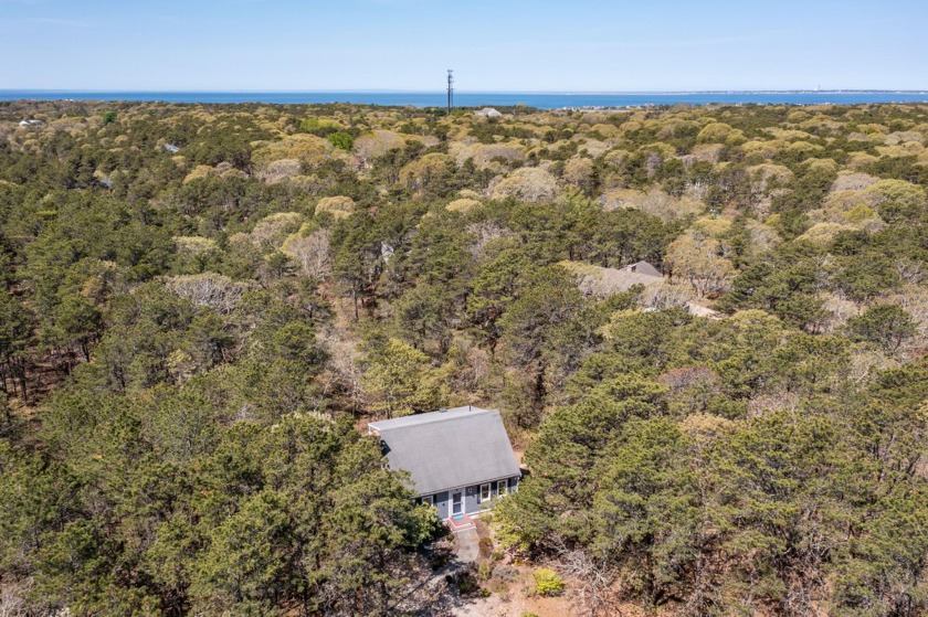 Nestled on a tranquil cul de sac in North Truro, this charming - Beach Home for sale in North Truro, Massachusetts on Beachhouse.com