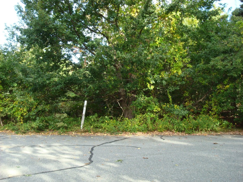 Last building lot on the small cul-de-sac just off Signal Hill - Beach Lot for sale in Dennis, Massachusetts on Beachhouse.com